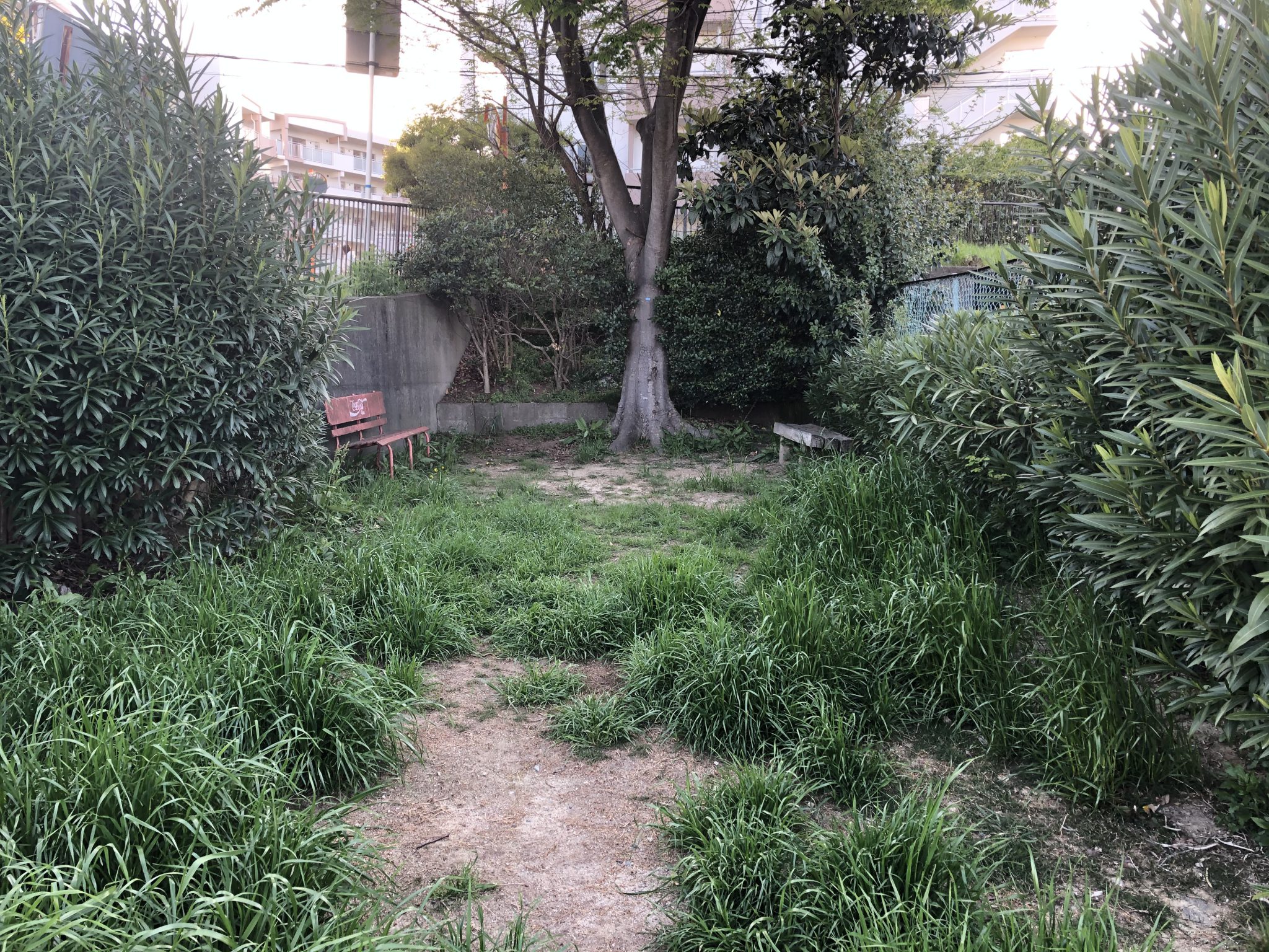 豊中市 旭丘第2公園/旭丘公園 COCOPARKS 豊中市 旭丘第2公園/旭丘公園 COCOPARKS