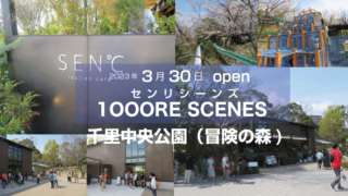 豊中市　千里中央公園（冒険の森）