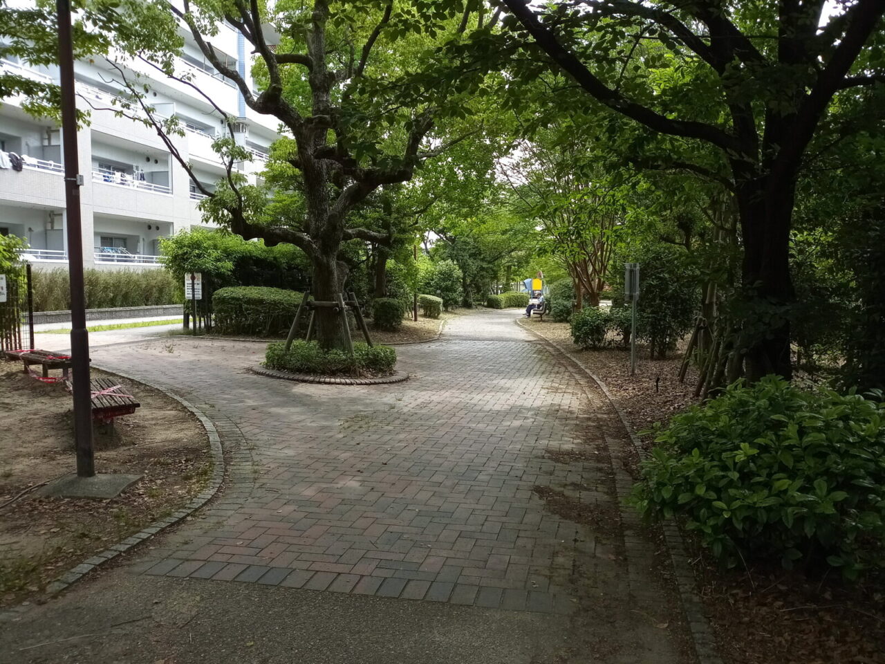 三島丘公園の様子 4