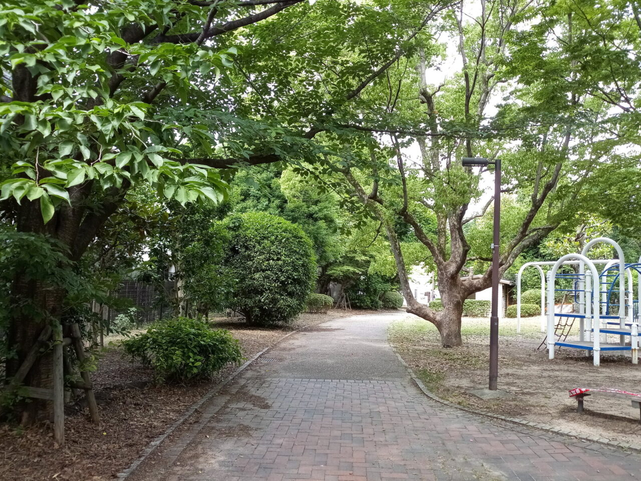 三島丘公園の様子 10