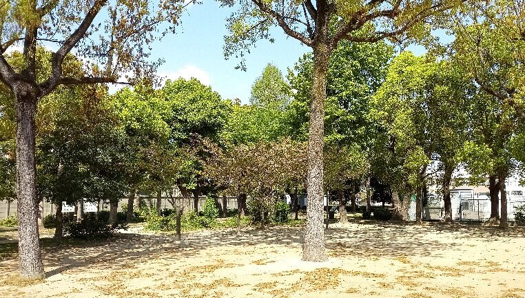 三島公園の様子 3