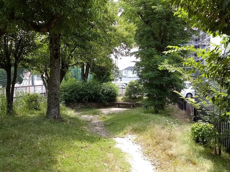 三島南公園の様子 5