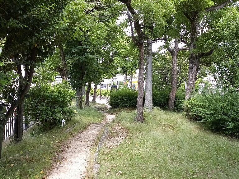 三島南公園の様子 6