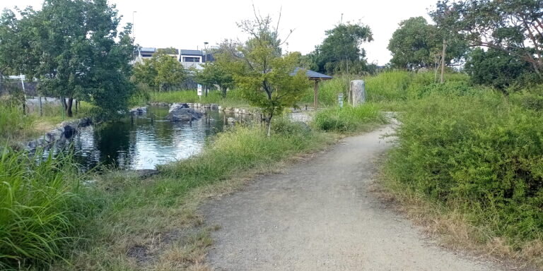 島ふれあい公園の様子 13