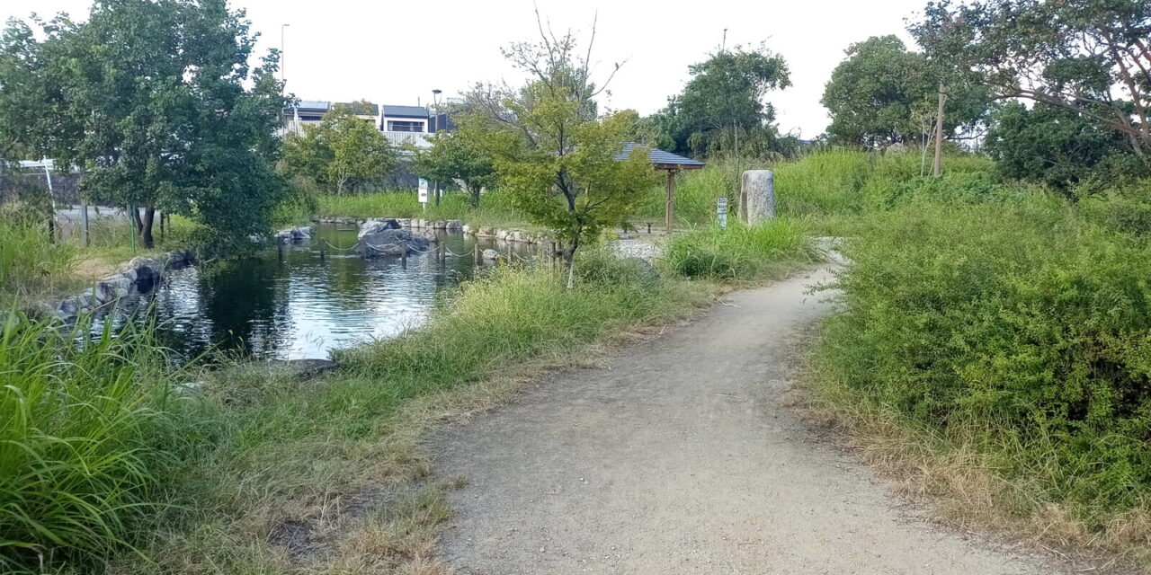 島ふれあい公園の様子 14