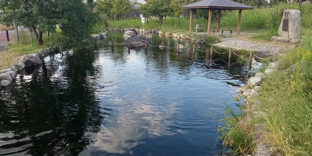 島ふれあい公園の様子 16