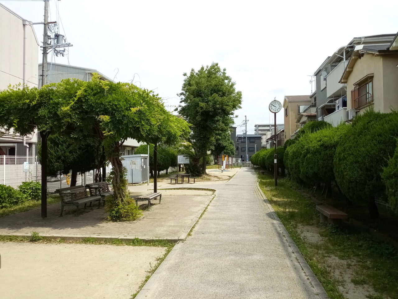 庄公園の様子 6