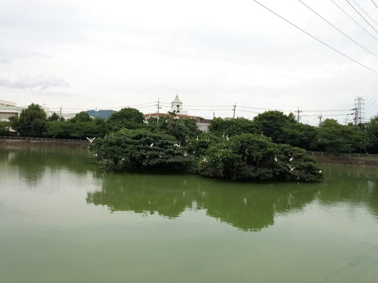 耳原公園の様子 9