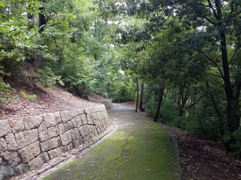 耳原公園の様子 17