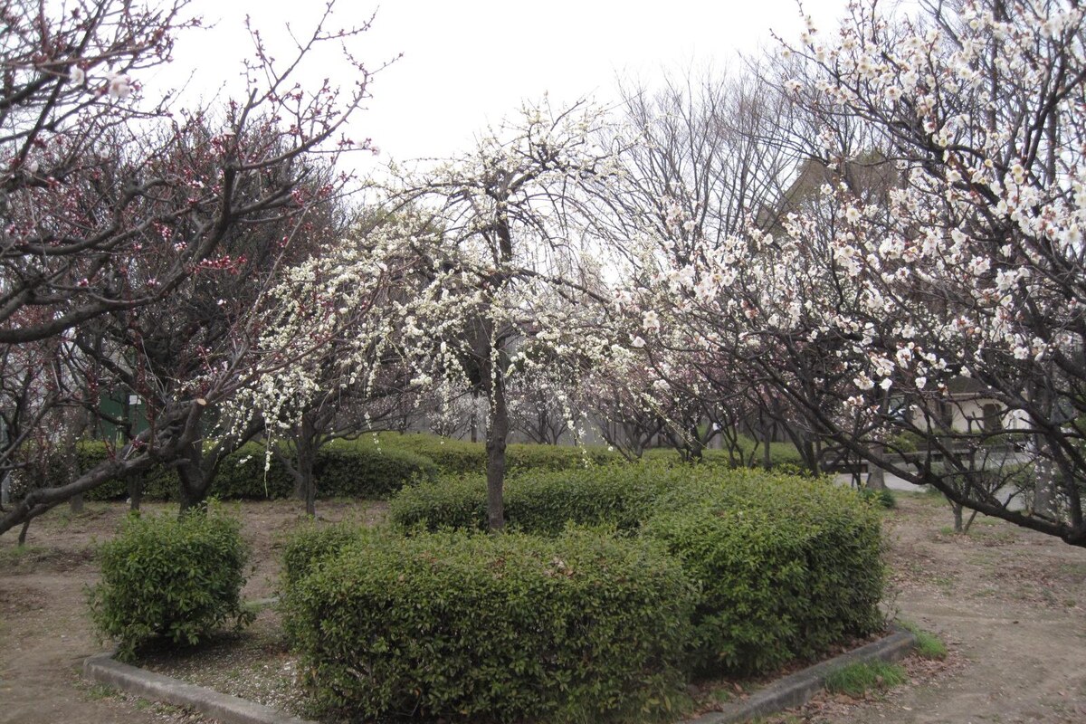 平和公園